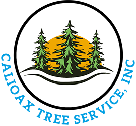 Calioax logo